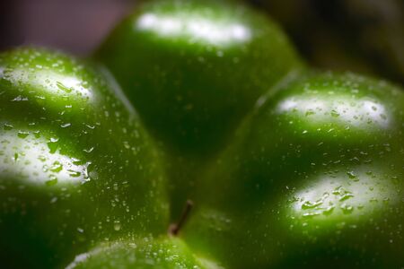 Sweet green pepper macro photography
