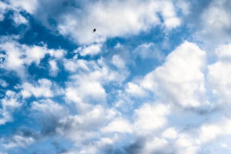The sky is clouded