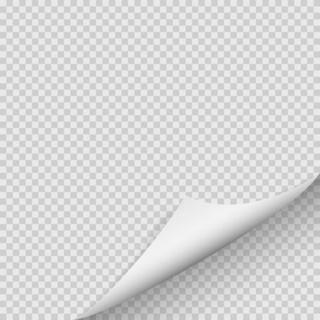 Curled corner of paper with shadow on transparent background.Vector illustration.のイラスト素材