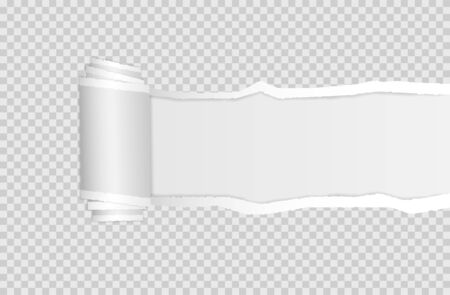 torn paper edge. Ripped squared horizontal white paper strips. Vector illustration EPS10.のイラスト素材