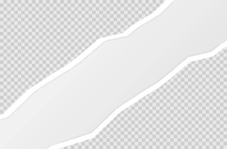 torn paper edge. Ripped squared horizontal white paper strips. Vector illustration EPS10.のイラスト素材