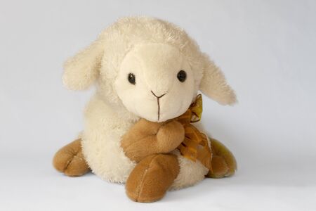 Close up of a stuffed sheepの写真素材