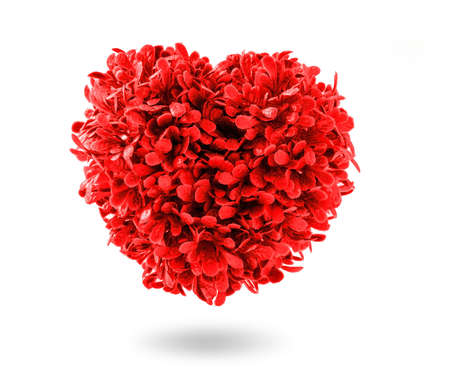 Tree shaped red heart isolated on white backgroundの写真素材