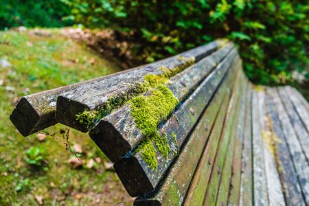 Close up of a bench in the parkの写真素材