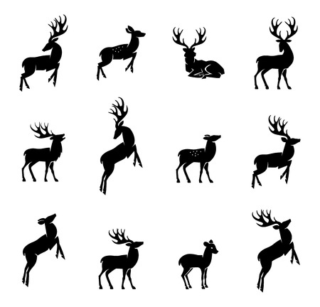Vector illustration of collection of deers silhouetteのイラスト素材