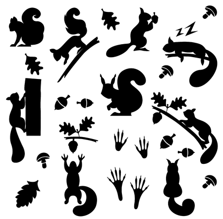 Set of silhouettes of squirrels. Vector illustration.のイラスト素材