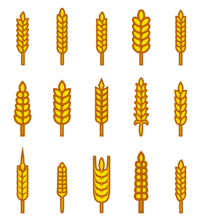 Ears of wheat bread symbols. Organic and bread, agriculture seed, plant and food, natural eat.のイラスト素材