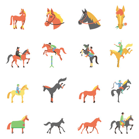 icons set on white background with accessories for horse riding and equestrian sport isolated illustration.のイラスト素材