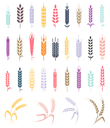 Collections of bakery design elements. Wheat ear icon set, leaves icons, graphic design elements, isolated on white backgroundのイラスト素材