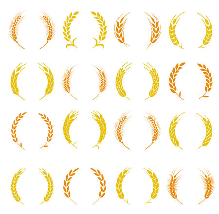 Wheat ear symbols for design. Agriculture grain, organic plant, bread food. Design elements for bread packaging or beer label. Set of silhouette circular laurel foliate and wheat wreaths.のイラスト素材