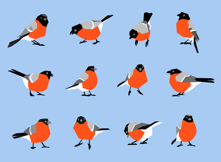Bullfinches isolated on white background. A set of winter birds in a flat style.のイラスト素材