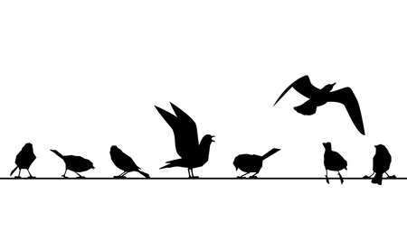 Feathered ones sit on wires. Vector silhouettes of birds isolated on white background. Sparrows on a branch.のイラスト素材