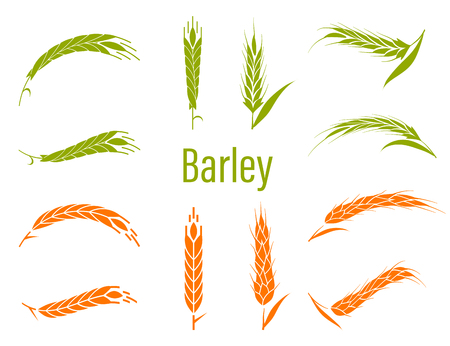 Concept for organic products label. Harvest and farming, grain, bakery, healthy food.のイラスト素材