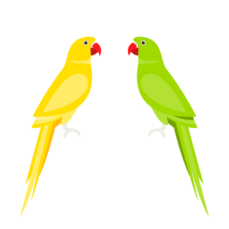 Cartoon cute parrot. Large Parakeets. Blue and yellow bird in a flat style on a white background.のイラスト素材