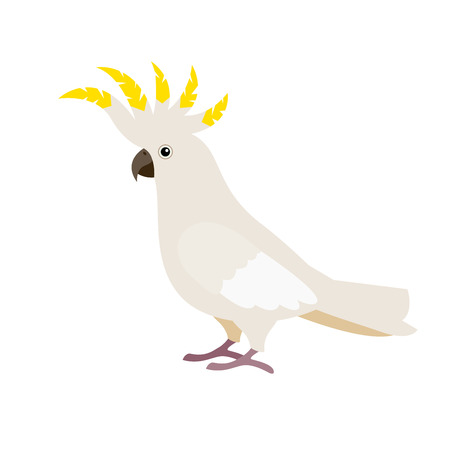 Cartoon cute parrot. Gray crested tropical cockatoo isolated on white.のイラスト素材
