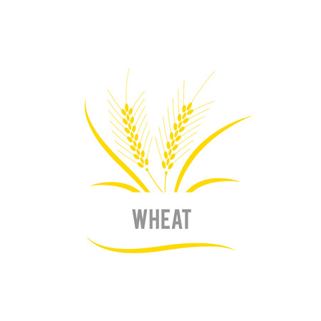 Wheat seed food cereal brew. Agriculture wheat Logo Template vector icon design.のイラスト素材