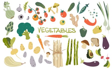 Hand drawn fresh delicious vegetables. Package of healthy and tasty vegan products, healthy vegetarian food.のイラスト素材