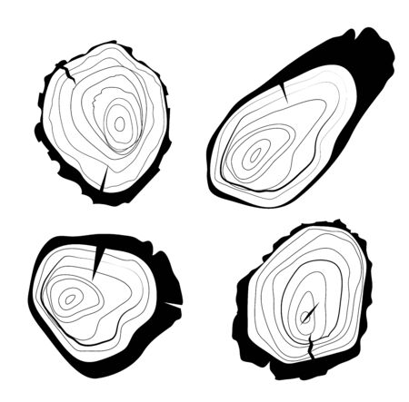 Set of four vector tree rings background and saw cut tree trunk. Grayscale wooden stump isolated on white.のイラスト素材