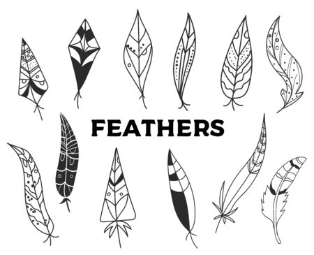 Set of hand drawn feathers isolated on white bacground.Vintage engraving illustration. Beautiful feathers in sketch style.のイラスト素材