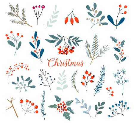 Christmas floral collection with winter decorative plants and flowers. Cute hand drawn in scandinavian style. Illustration of winter berries and Christmas branches.のイラスト素材