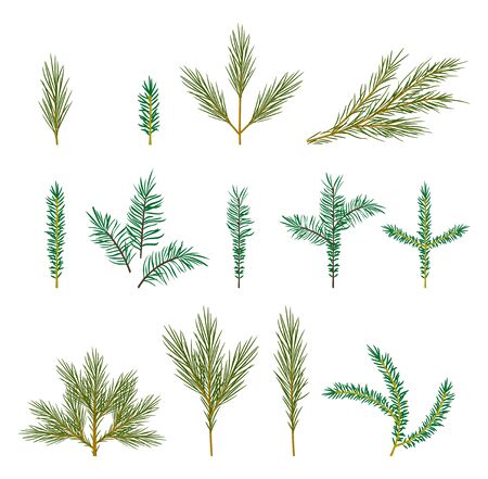 Collection of Evergreen coniferous trees branches Brushes. Christmas elements for design.のイラスト素材