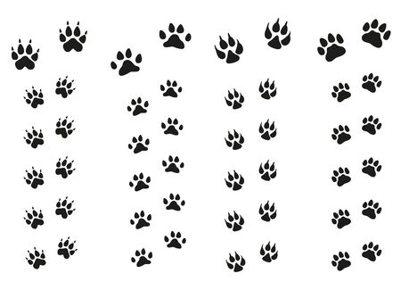 Trails of animals steps isolated on white background. Paw Print.のイラスト素材
