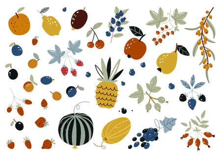 Autumn harvest of fruits, berries and vegetables in flat style isolated on white background. Cute freehand drawings to create a poster or card. Doodle fruits. vector hand drawn scandinavian style.のイラスト素材