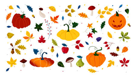 Hello autumn. Pumpkin of various shapes. Fall leaves and berries. Thanksgiving and Halloween Elements. Hand drawn vector. Illustrations for poster, background or card. Stamp texture.のイラスト素材