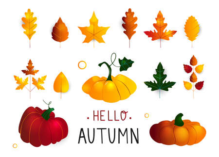 Colorful seasonal fall vector elements. Hand drawn elements, autumn leaves and pumpkins. Perfect for web, card, poster, cover, tag, invitation, sticker kit. Vector illustration. Flat design.のイラスト素材