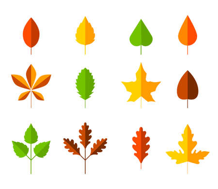 Colorful autumn leaves set. Cartoon leaf in flat style. Autumn herbarium. Collection of hand drawn fallen leaves. Set of cartoon elements of autumn.のイラスト素材