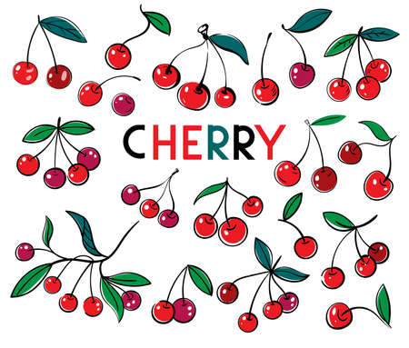 Cherry. Sweet fruit. vector icons set. Cherry isolated on the white background. Vector botany illustration.のイラスト素材