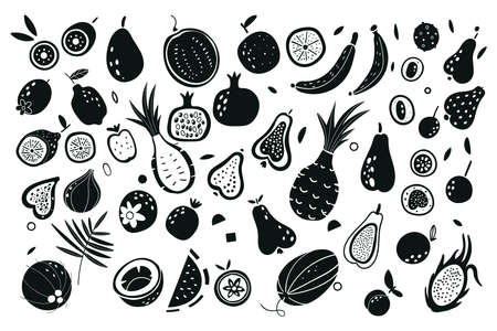 Fruit and vegetables silhouettes. Vector illustration. Exotic fruits. Print for bags, labels for stores, packaging, advertising. Collection farm product restaurant menu, market label.のイラスト素材