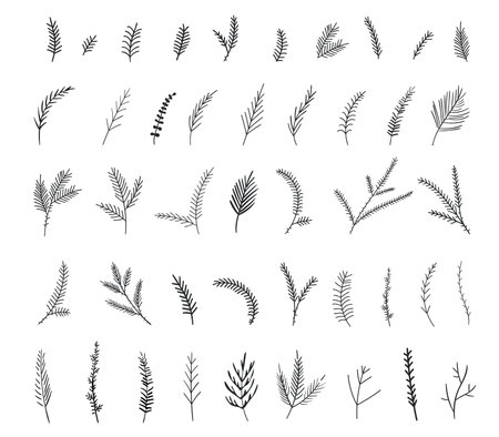 Vector floral illustration with branches, and leaves. Vector botanical collection of floral and herbal elements. isolated vector plants, branches and flowers in ink sketch design. Christmas branches.のイラスト素材