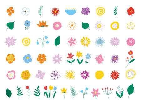 Botanical drawing. Various romantic flower and leaf illustrations. Vector illustration EPS 10.のイラスト素材