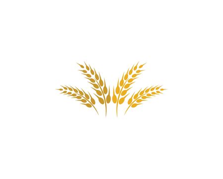 Agriculture wheat logo template vector icon designのイラスト素材