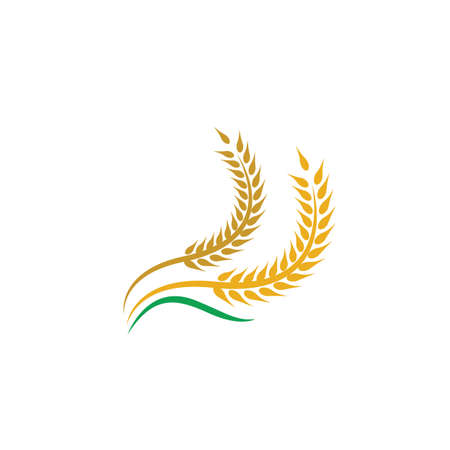 Wheat vector icon illustration designのイラスト素材