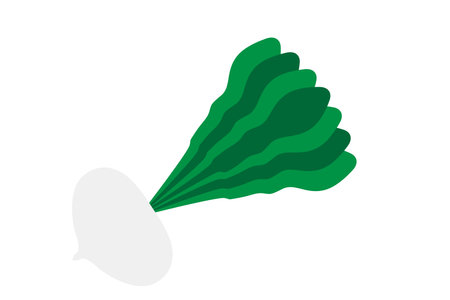 Simple turnip illustration - for kidsのイラスト素材