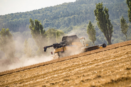 Vew on the combines working on the large wheat field. Saxon Switzerland, Germany.の写真素材