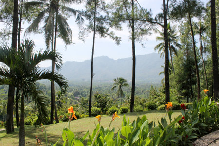 A park close to the Borobudur templeの写真素材
