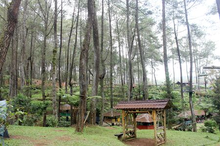 Cikole forest, Indonesia -  December 23 2015 : Cikole forest near Bandung - place for rest from the big cityのeditorial素材