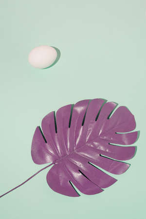 2022 Easter still life real unique composition. White egg and violet palm leaf. Creative modern ,minimal background.の写真素材