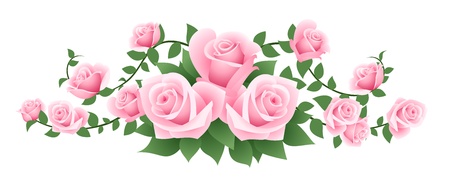 illustration of pink roses.のイラスト素材