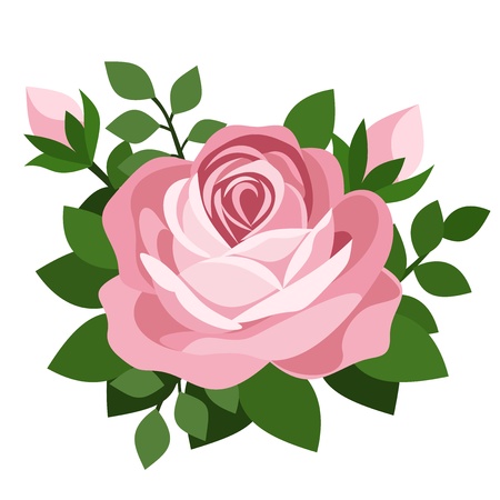 Pink rose. のイラスト素材