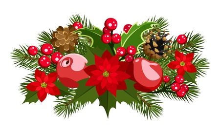 Christmas decoration with holly, fir-tree, cones, poinsettia and apples.のイラスト素材