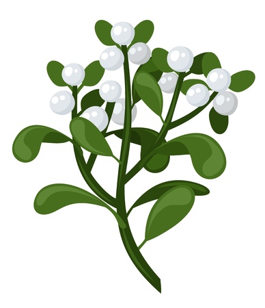 Mistletoe branch. のイラスト素材