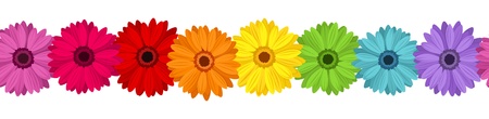 Horizontal seamless background with colored gerbera.  illustration.のイラスト素材