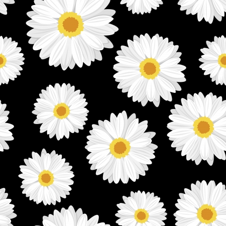Seamless background with daisy flowers on black.  illustration.のイラスト素材