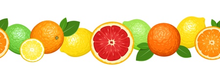 Horizontal seamless background with citrus fruits.のイラスト素材