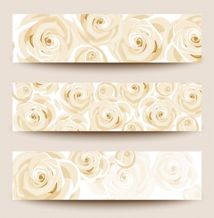 Set of three vector banners with white roses.のイラスト素材