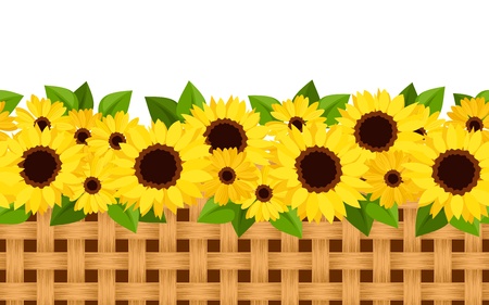 Horizontal seamless background with sunflowers and wicker. Vector illustration.のイラスト素材